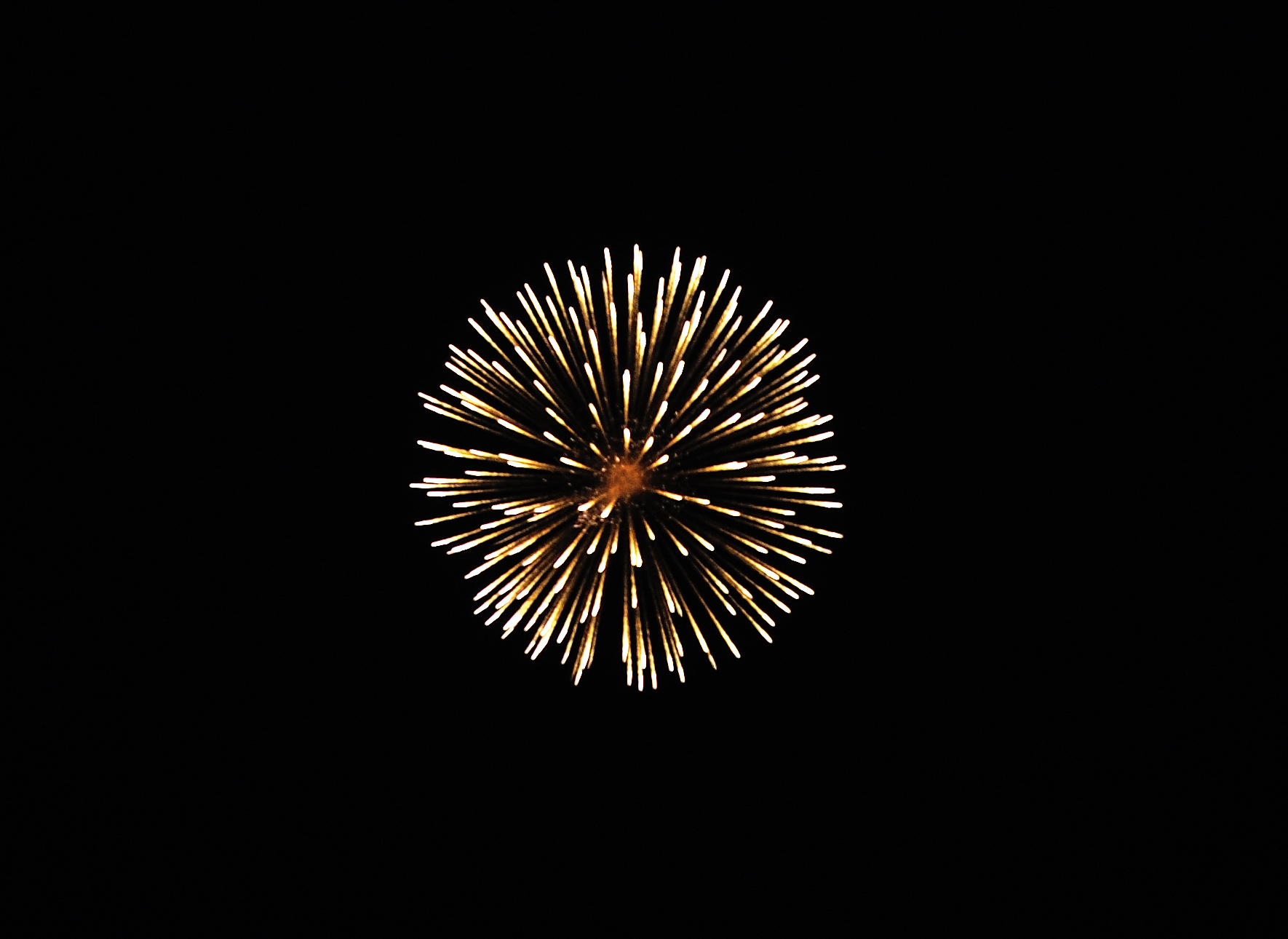 Firework