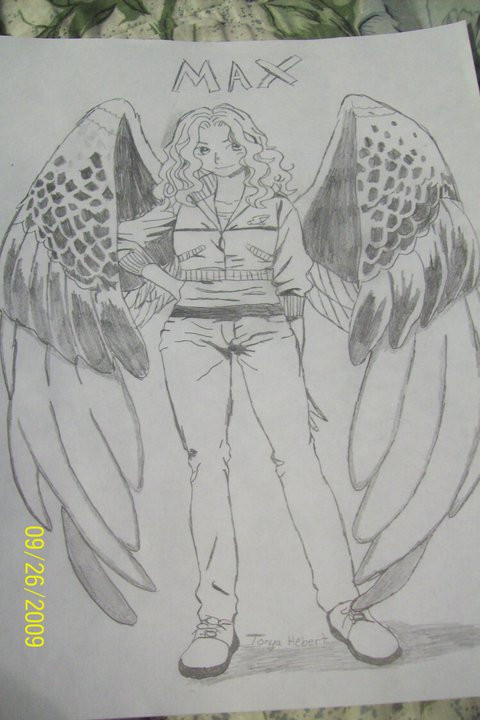 Maximum Ride