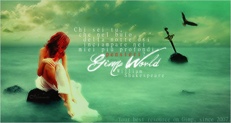 Contest Gimp World