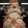 Wedding Cake 03-14-2008