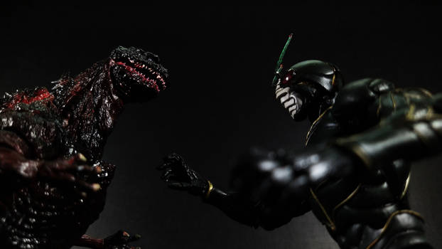SIC Kamen Rider ZO vs Shin Godzilla