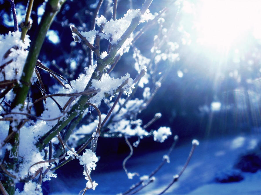 snow and sun