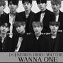 [#1]SERIES 1000+ WATCHER: WANNA ONE