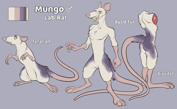 mungo the rat