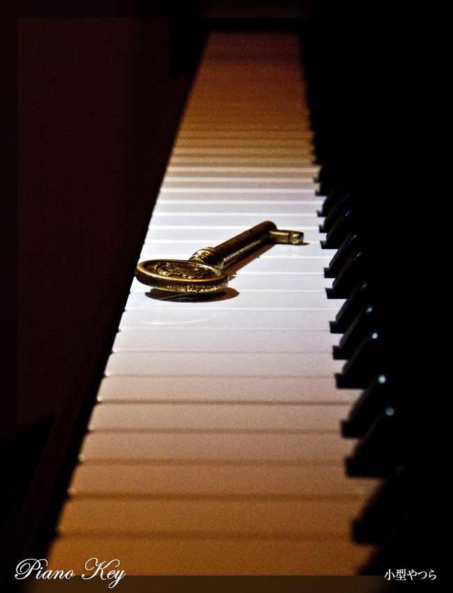 Piano Key