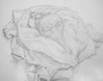Death still life by bdunn1342