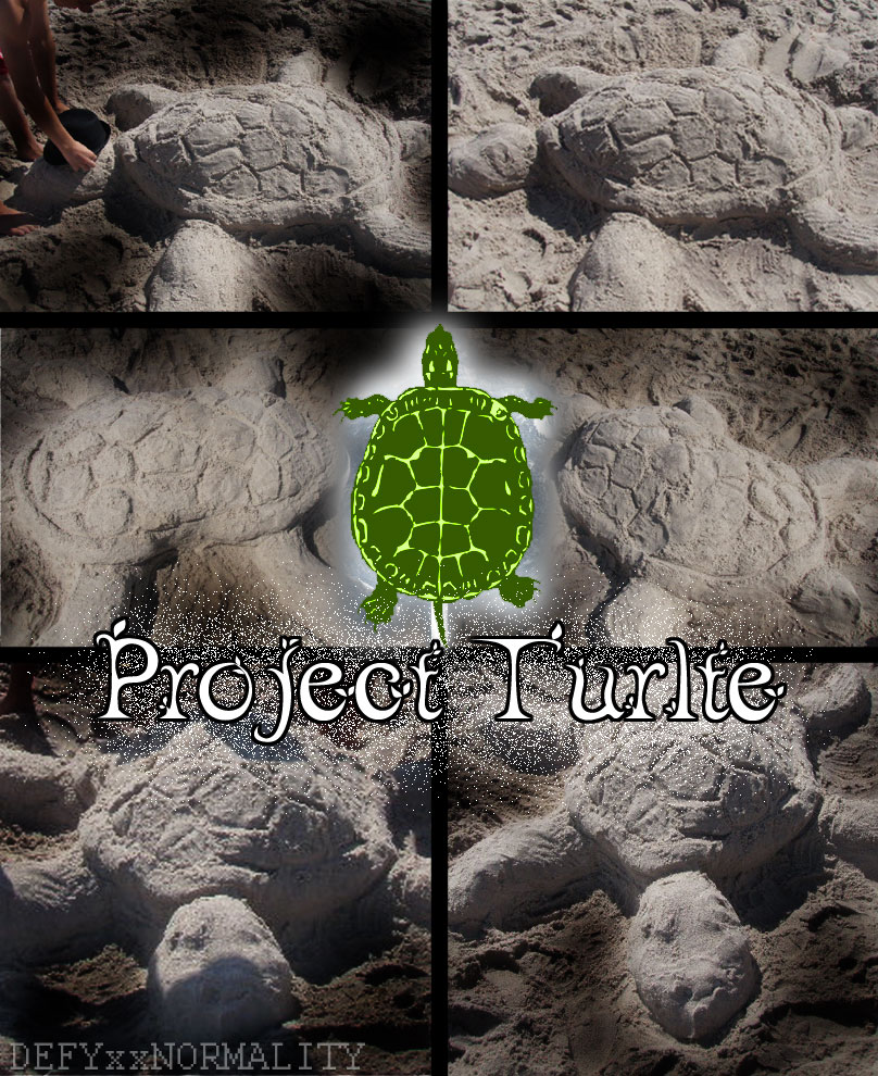 Project Turtle