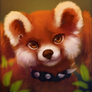 Red panda (Trade)
