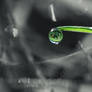 Dewdrop