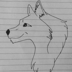 Wolf #2