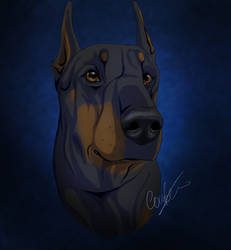 Doberman tattoo (+video)