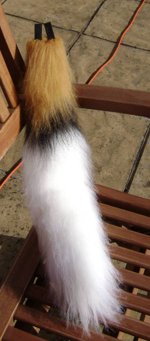 African Wild Dog Tail