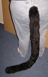 Long Black Feline Tail