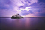 small mangrove island by 5-zal