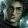 HP - Harry Potter GOF