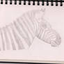 Zebra drawing