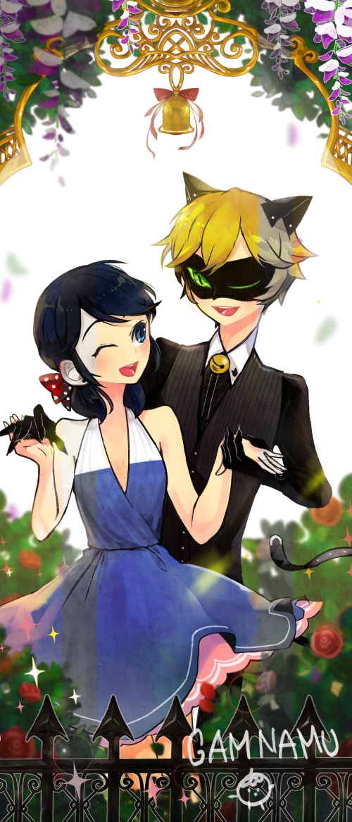 Miraculous ladybug Marinette n catnoir by Gamnamu on DeviantArt