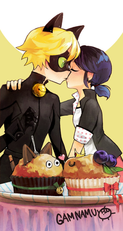 Miraculous ladybug Marinette n catnoir by Gamnamu on DeviantArt