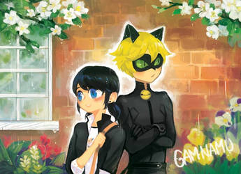 miraculous ladybug marichat