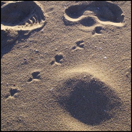 Footprints in the Sand: II