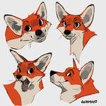 Fox doodles