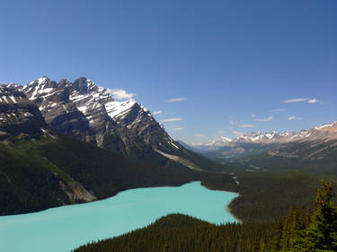 Lake Peyto