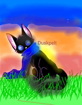 Duskpelt (not my oc)