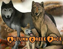Autumn Creek Pack collage