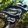 Rainbow Serpent