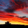 Multicoloured Panorama