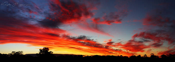 Multicoloured Panorama