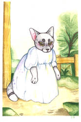 Watercolour cat painting