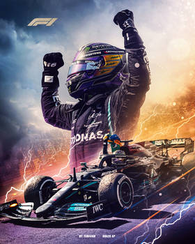 Lewis Hamilton Brazil GP winner poster