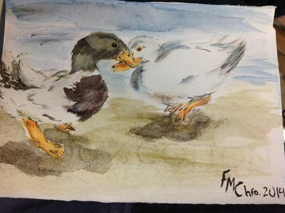 Patos by loverxanime on DeviantArt Patos by loverxanime on DeviantArt