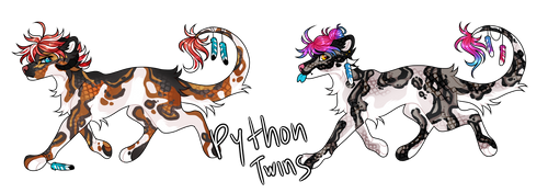 python kias !! - (2/2 open !!)