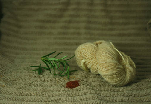 Skein 3: Rosemary and Paprilka