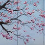 Cherry blossoms triptych
