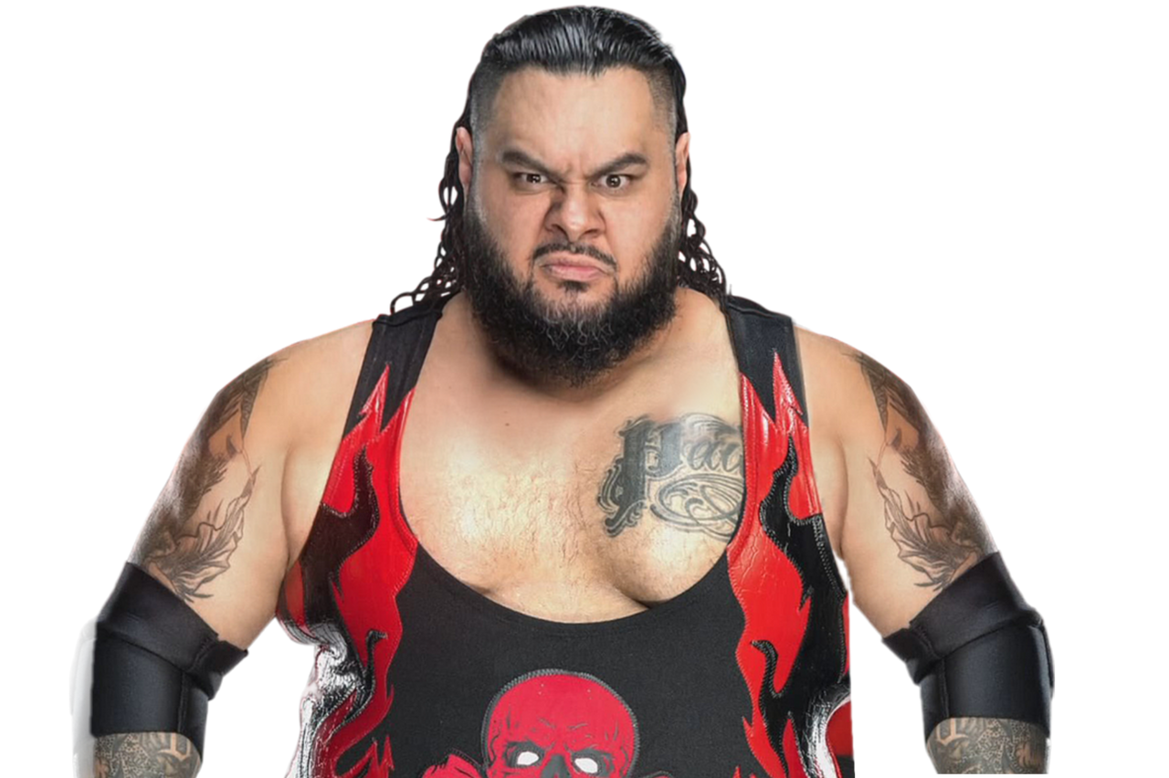 Bronson Reed New Render Png By Maryxavier by maryxavier on DeviantArt