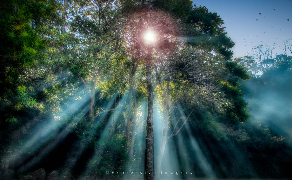 Angel Rays Sun Angel Rays by ExpressiveImagery on DeviantArt