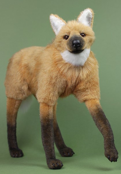 Maned wolf