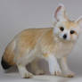 Fennec Fox