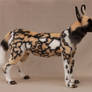 African wild dog