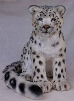 Snow leopard