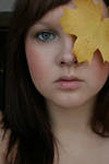 Autumn portrait 5 by mariix-stock