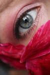 Untitled 1