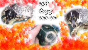 RIP Doogey