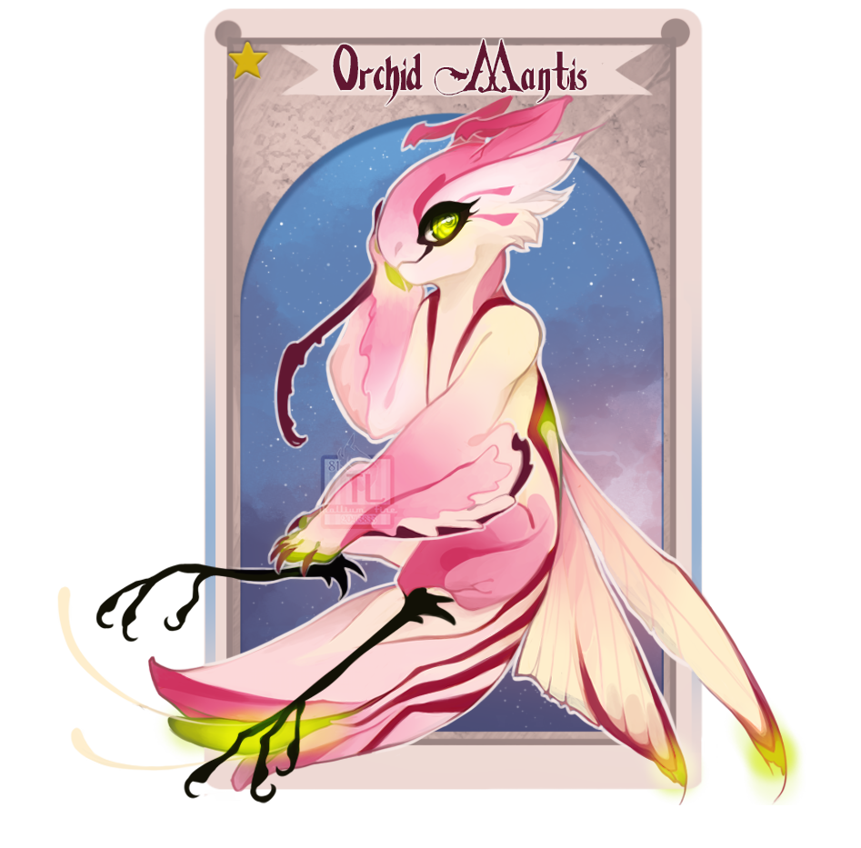 Orchid Mantis [NN]