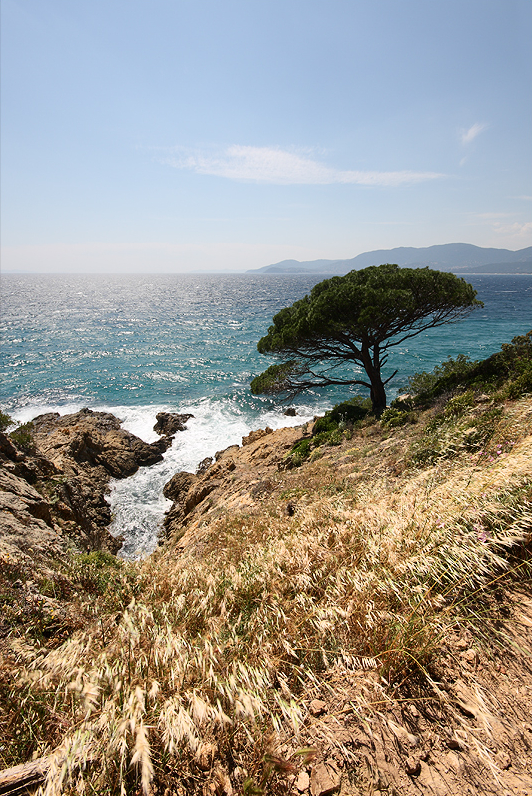 Sentier du Littoral