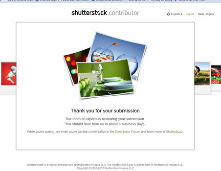 ShutterStock Screen Shot 5