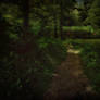 Forest And Bridge - premade background (edited)